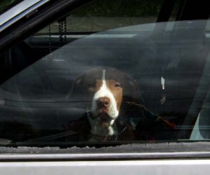 eq2 pymatuming to statesville NC 004