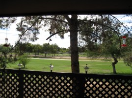 I love the view from my patio.