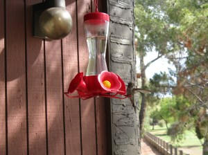 Say hello to my little friend.