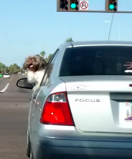 IMG_20141112_141135348