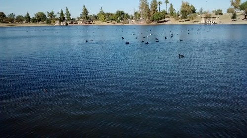 IMG_20141124_150647192