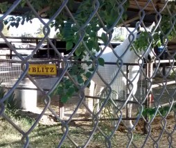 IMG_20141124_151918681