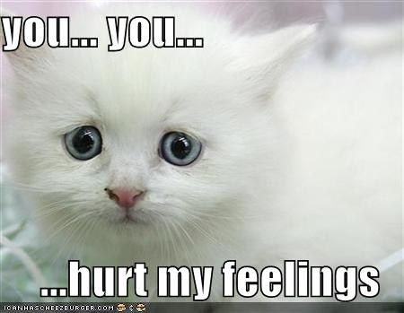 hurt feelings cat